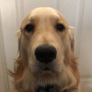 Meet your Posher, Brett